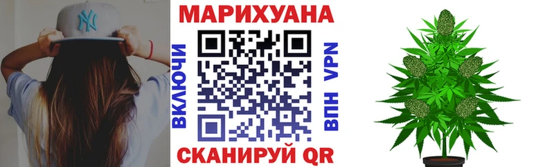 Конопля OG Kush  Купить где  Шумерля 